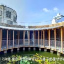 비전상상약국 이미지