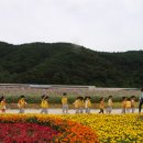 코스모스 어린이집 이미지