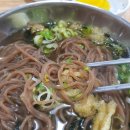 첨단모밀집 이미지