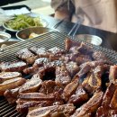 명랑수산 티스토리