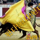 노른자공인중개사사무소 이미지