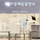 창문동물병원 이미지