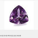 삼대장 - 목포시 당가두로38번길 4-27 | 삼대장