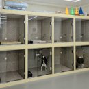 참유치원 | 달서구애견유치원 [헬로우버디 대구달서점] 강아지 성향평가 체험등원 후기