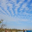 별하농장 이미지