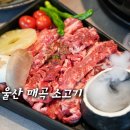 추풍정매곡 | 울산 매곡 고기집 추풍정 소고기 가족외식 후기