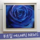 부르힐 에스테틱 이미지