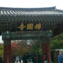 경주(부산) 이미지