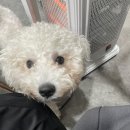 더더네일 네이버블로그