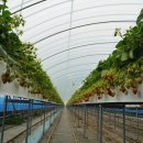 미소담농장 이미지