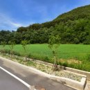 서화면 행정복지센터 이미지