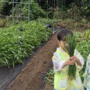 포항삼성어린이집 이미지