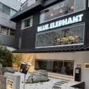 블루몬스터 | 젠틀몬스터 데이즈데이 내돈내산 구매 후기｜착용샷 &amp; 매장 방문, 블루엘리펀트 비교