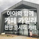 카페카일리 | 분위기 좋은 천안 모시리 카페 '카페카일리'