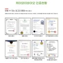케이와이네트워크