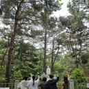 관악 민주주의 길 이미지