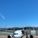 6962 | NH6962/NH6897(공동운항 OZ132/OZ135) 비즈니스, 후쿠오카 타임즈 렌터카 국제선점(강추)