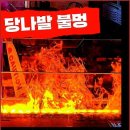 당나발포차대전대흥점 | 가성비 대박이네요 :) 당나발포차대전대흥점 대전술집