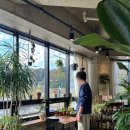 애화꽃식물원 밑 도로 | 구미 문성 이색 카페, 가든올데이 :: 꽃다발 주는 플라워카페 데이트 가볼만한곳