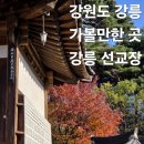 강원도 강릉 여행 필수 코스 가볼만한곳 추천 강릉 선교장 걷기좋은 아름다운 한옥 고택 방문 후기