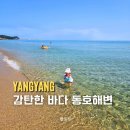 손양면사무소 | 양양 아이랑 가볼만한 동호해변 여름휴가 애견비치 방문 후기