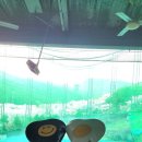 진해 골프랜드 이미지