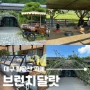 염소사육장 | 대구 팔공산 대형 베이커리카페 브런치달랏, 아기랑 알파카 염소 먹이주기!