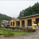 산야초마을 이미지