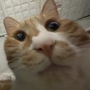 아름당구클럽 | 🇻🇳 베트남 - 호치민 | 현실도피하러 여름휴가 다녀옴.🛵 | 맛집 | 스파 | 타워