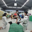 국가대표 샛별태권도장 이미지