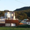 로라스플라워