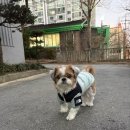신전떡볶이(운암점) | 광주 북구 셀프 사진관 "더스팟 운암점" 방문 후기
