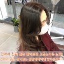 봄날애헤어 네이버블로그
