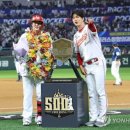 최정 카카오 검색결과