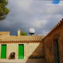 세계 캠핑체험존 | 전곡읍펜션 연천세계캠핑체험존펜션 자연 속 힐링 공간