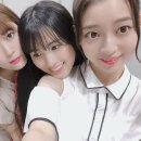 모모코