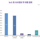 정부 &#39;가짜뉴스 몰이&#39;에…국산 네이버·다음 &#39;벼랑끝&#39;/장박원 이미지