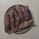 박은영농장 | 코로나 걱정될땐 집에서 먹자 w.해피콜의 5일장터