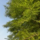 자매종합상사 이미지