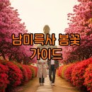 강진 남미륵사 봄꽃축제와 서부해당화 여행팁