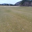 타미우스골프연습장 | 제주 타미우스cc 라운딩 후기