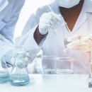 지식인력개발형태 이미지