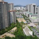 본디올현대한의원 네이버블로그