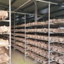 다온농원 이미지