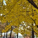 가마솥 | 노원역맛집 가마솥순대국밥 내돈내산 후기