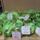 구립가좌1동어린이집 이미지