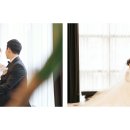 레브드그라피 Daum카페
