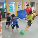 파파태권도장 이미지