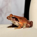 귀재농장 이미지