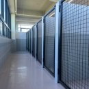 네버슬립독 이미지